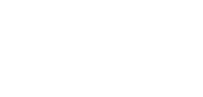 NLMatics